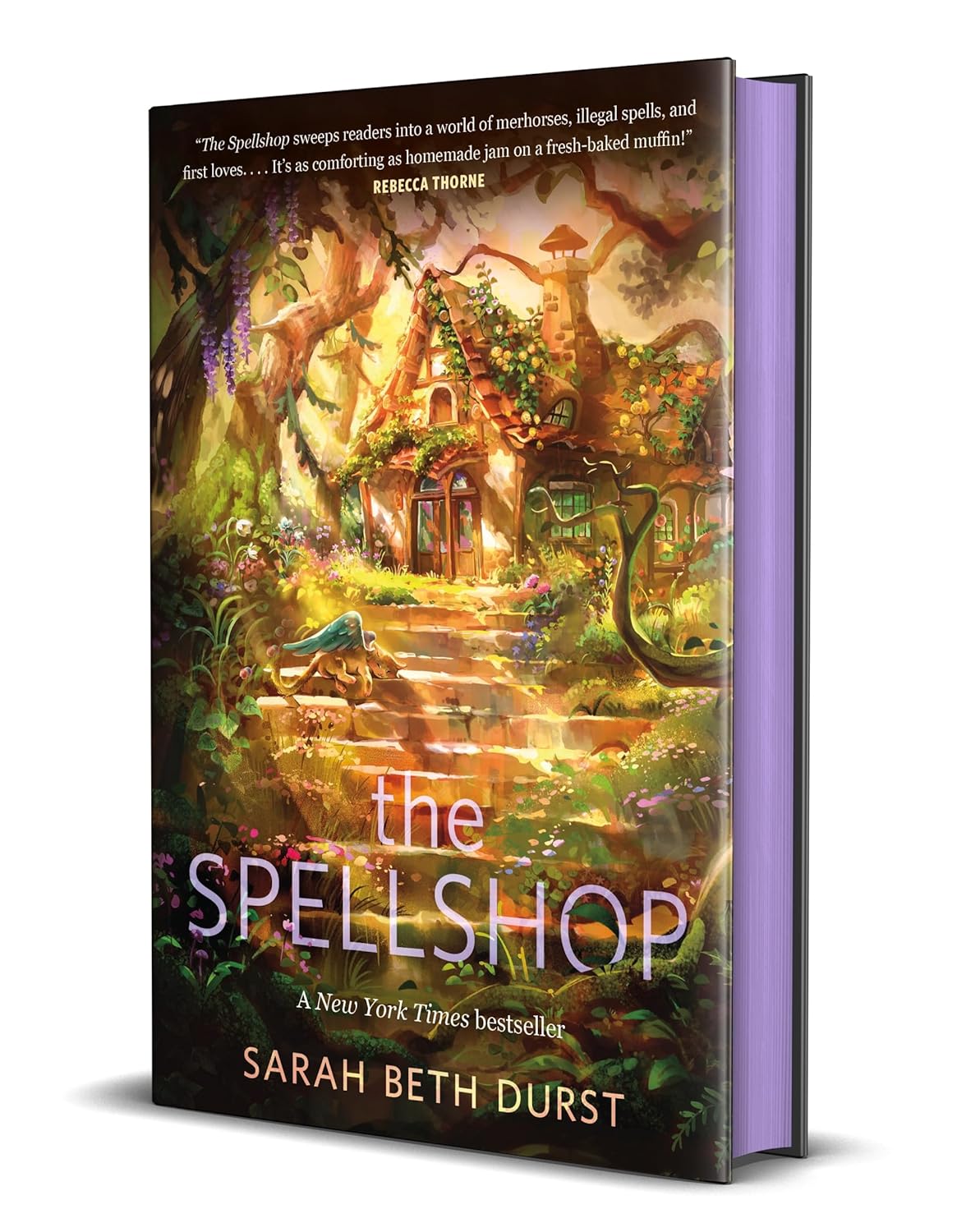 The Spellshop by Beth Durst (Special Edition Hardcover) - 9781250333971